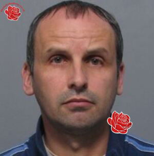 Stephen Waters – profile image