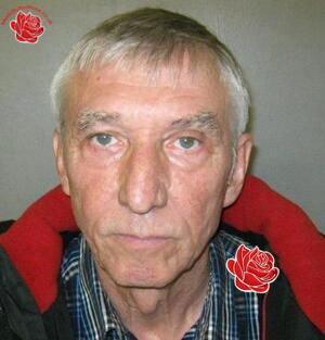 Dennis Palmer – profile image