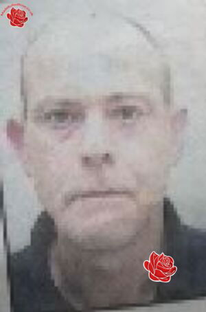 Steven Cook – profile image