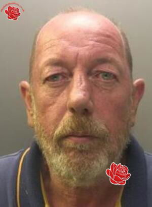Martin McDonald – profile image