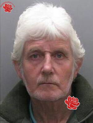 Robert Hodgson – profile image