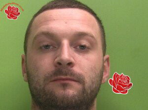 Mark Whitehead – profile image