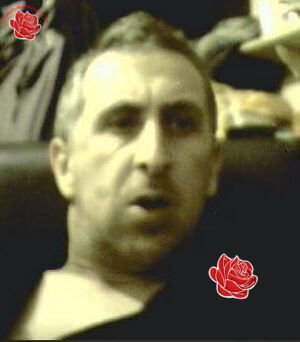 Darren Pitcher – profile image