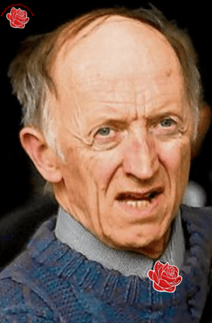 Breffni O’Rourke – profile image