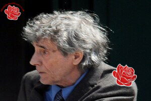Peter Davidson – profile image