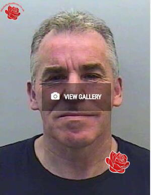 Stephen Cracknell – profile image