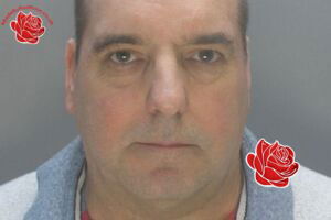 Brendan Houghton – profile image