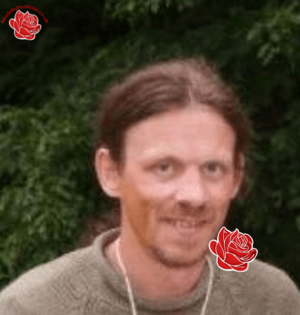 Neil Stephens – profile image
