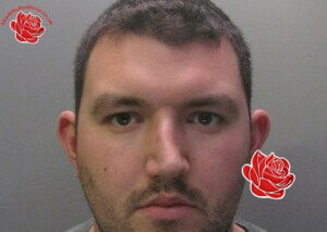 Matthew Ward – profile image