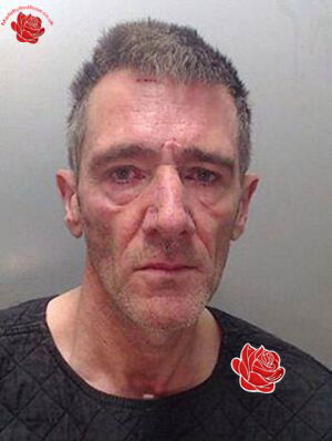Paul Ripley – profile image
