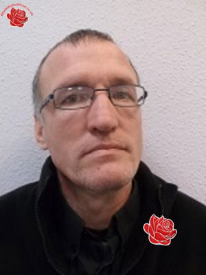 Wayne Collins – profile image