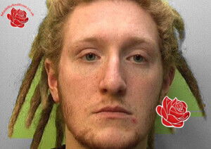 Tarran Collins – profile image