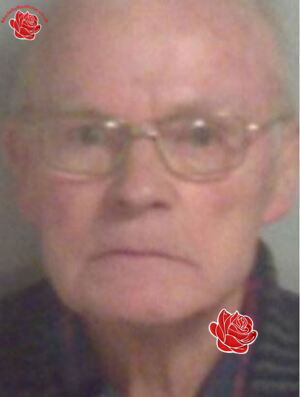 Donald Veale – profile image