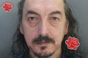 Carl Mullally – profile image