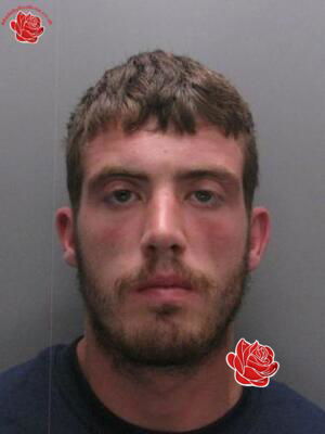 Callum Bell – profile image