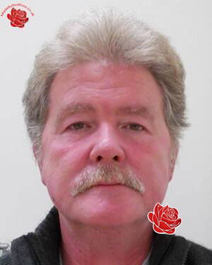 Martin Evans – profile image