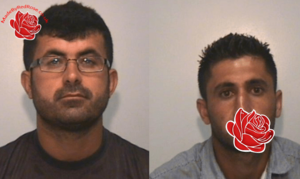 Hassan Meshedi/Aram Younis – profile image