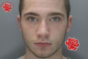 Jamie Harrison – profile image
