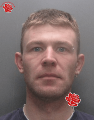 Stuart Haslam – profile image