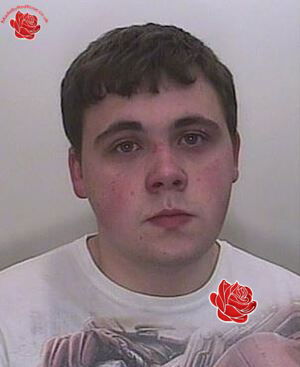 Alex Nicholas – profile image