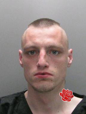 Stephen Rudkin – profile image