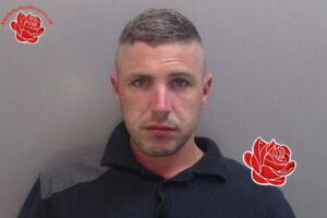 Stephen Wilkinson – profile image