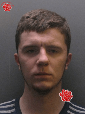 Stephen Robins – profile image