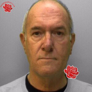 Peter Keeley – profile image