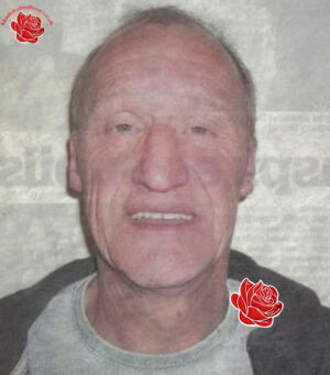Wayne Middleton – profile image