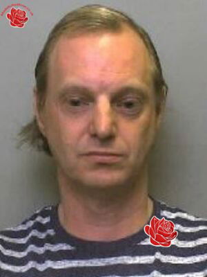 Dominic Purvis – profile image
