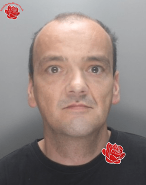 Nicholas Kelly – profile image