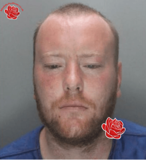 Christopher Potts – profile image