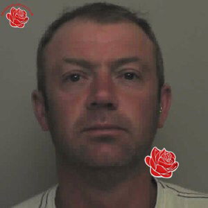 Craig Harrison – profile image