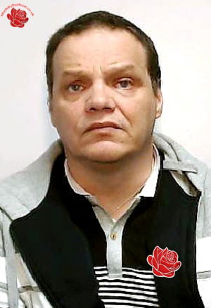 Michael Williamson – profile image