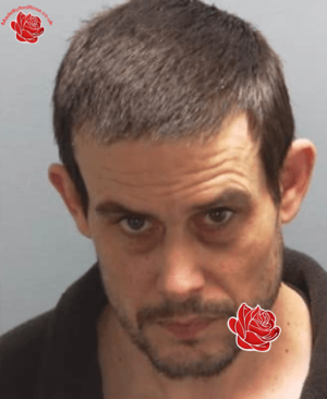 Lee Downie – profile image