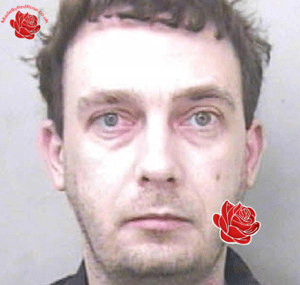 David Brown – profile image