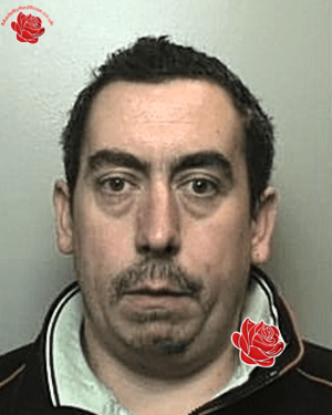 Steven Trew – profile image
