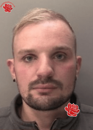 Daniel Hedison – profile image
