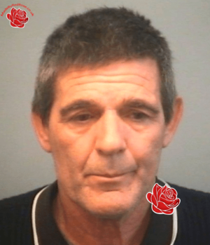 Mark Barnes – profile image
