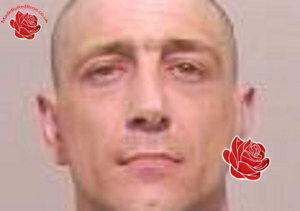 Alan Watkins – profile image