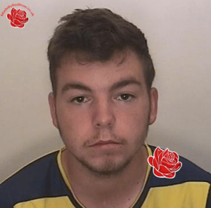 William Tollan – profile image