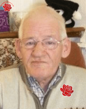 William Mclennan – profile image