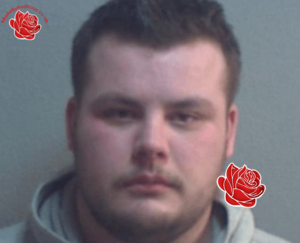 Matthew Stone – profile image