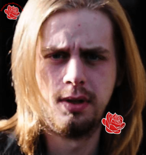 Steven Davidson – profile image