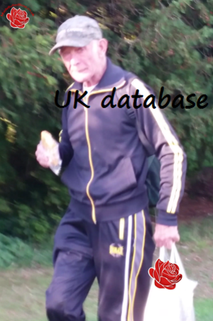 Anthony Webb – profile image