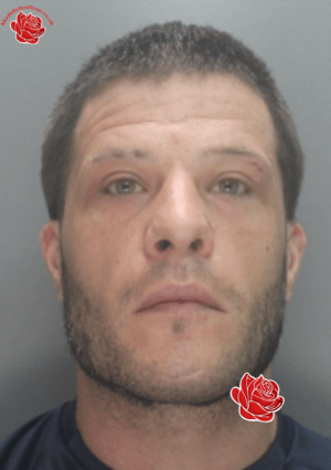 Adam Stokes – profile image