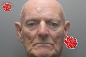 Peter Watson – profile image