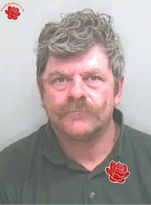 Davy Nicholls – profile image
