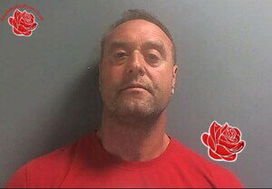 Andrew Robinson – profile image