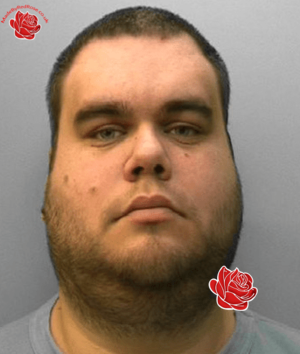 Alan Bull – profile image